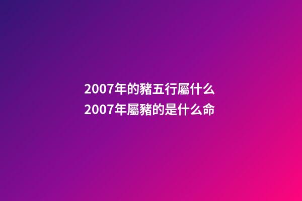2007年的豬五行屬什么 2007年屬豬的是什么命-第1張-觀點(diǎn)-玄機(jī)派